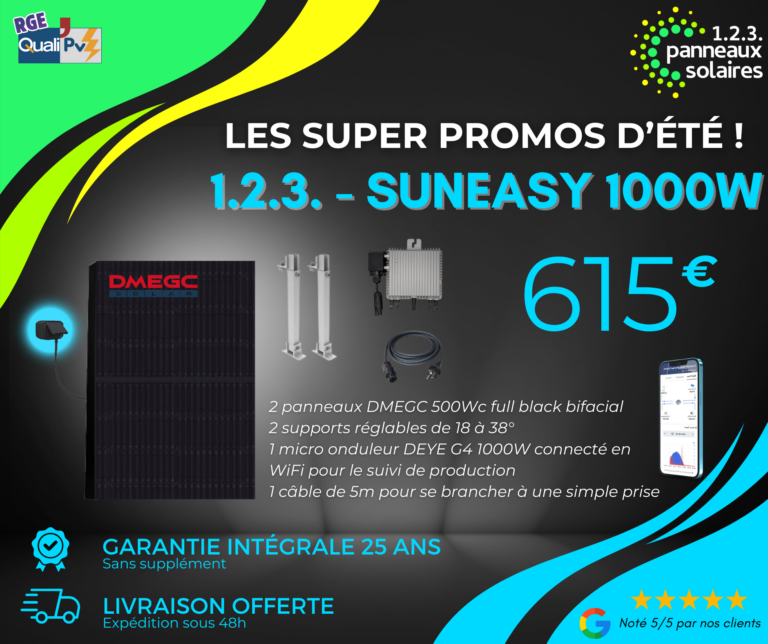 suneasy 1000W