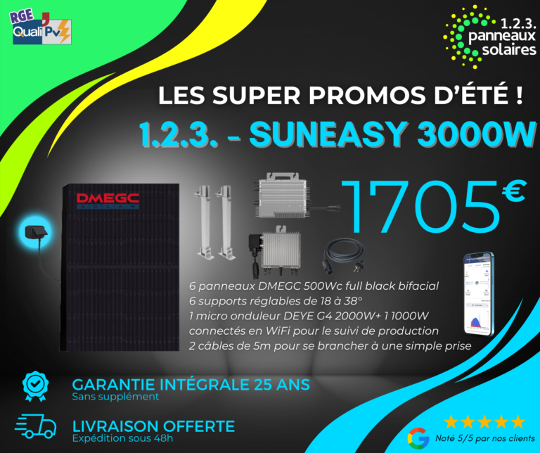 suneasy 3000W